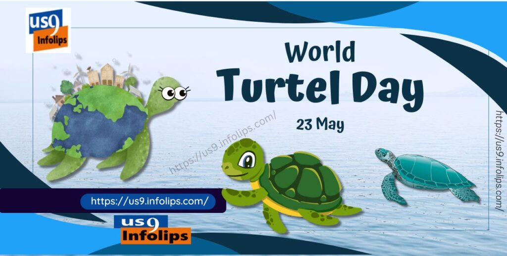 World Turtle Day