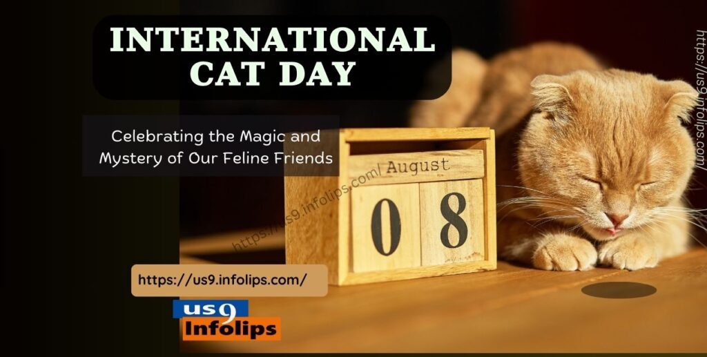 International Cat Day