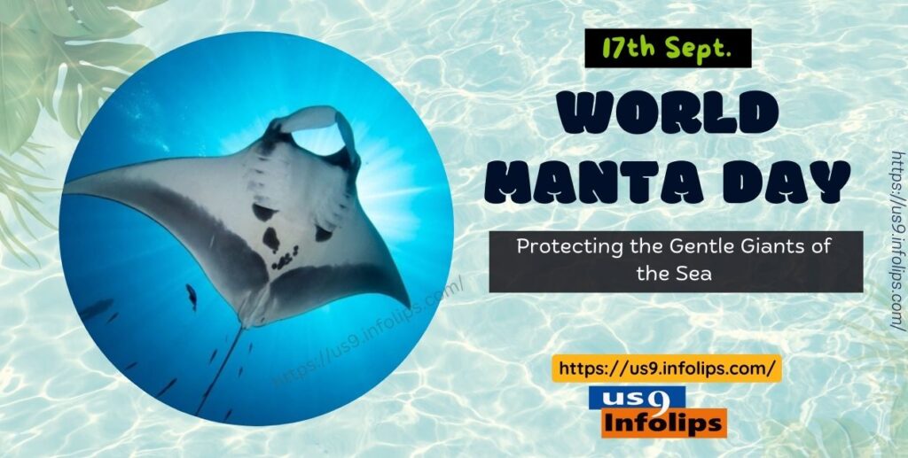 World Manta Day