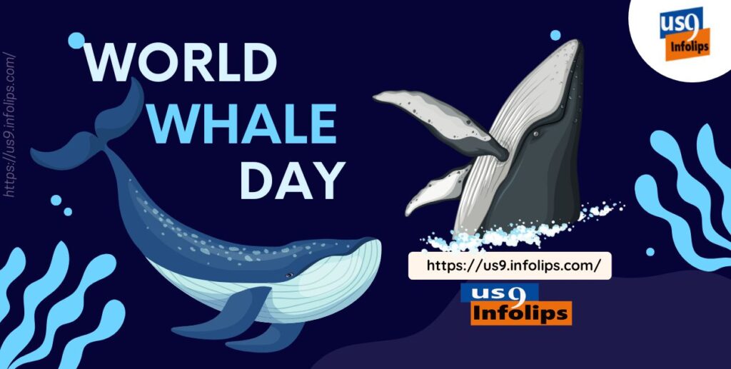 World Whale Day