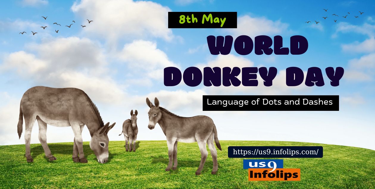World Donkey Day