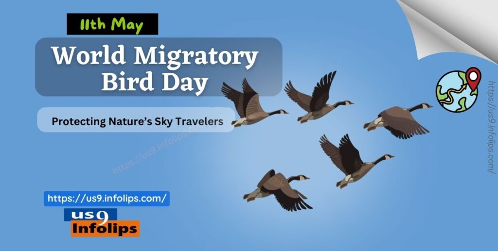 World Migratory Bird Day