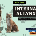International Lynx Day