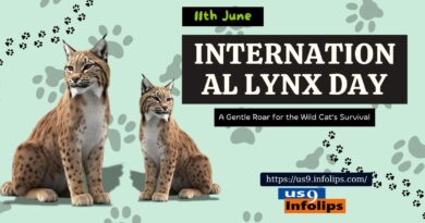 International Lynx Day