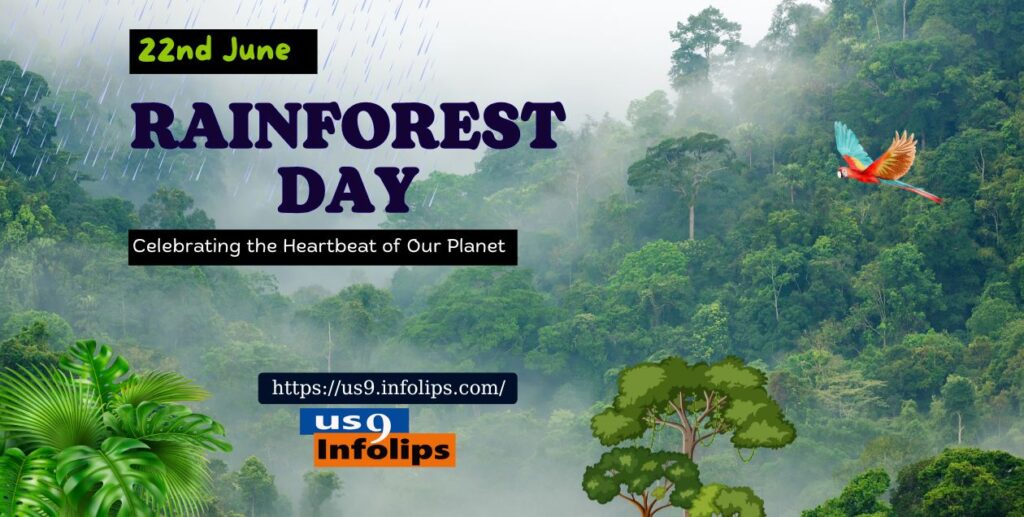 Rainforest Day
