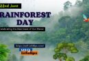 Rainforest Day