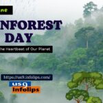 Rainforest Day