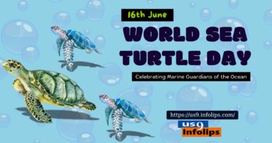 World Sea Turtle Day