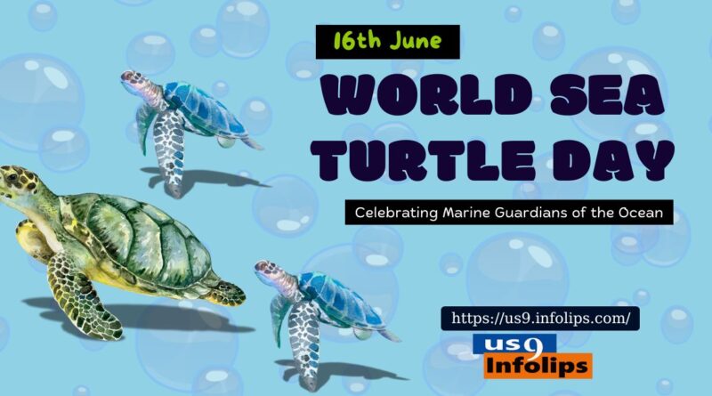 World Sea Turtle Day