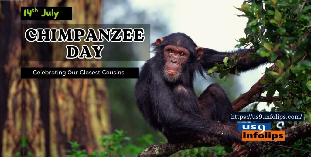 World Chimpanzee Day