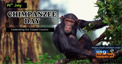 World Chimpanzee Day