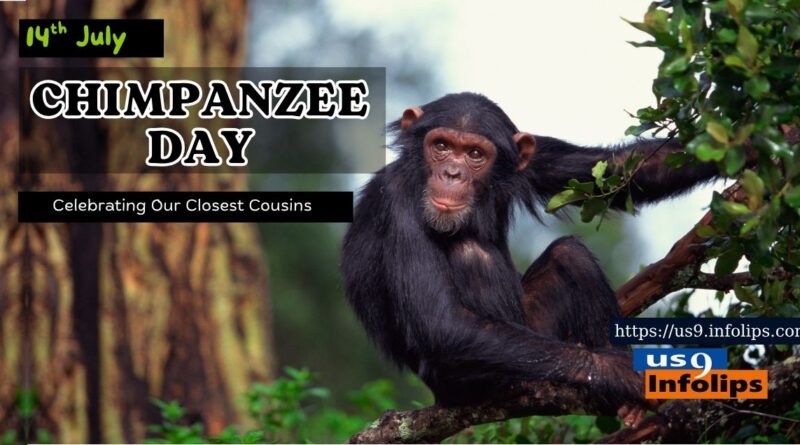 World Chimpanzee Day