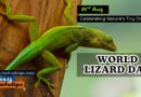 World Lizard Day