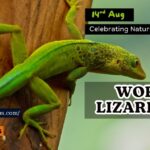 World Lizard Day