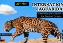 International Jaguar Day
