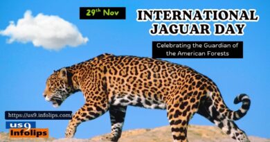 International Jaguar Day